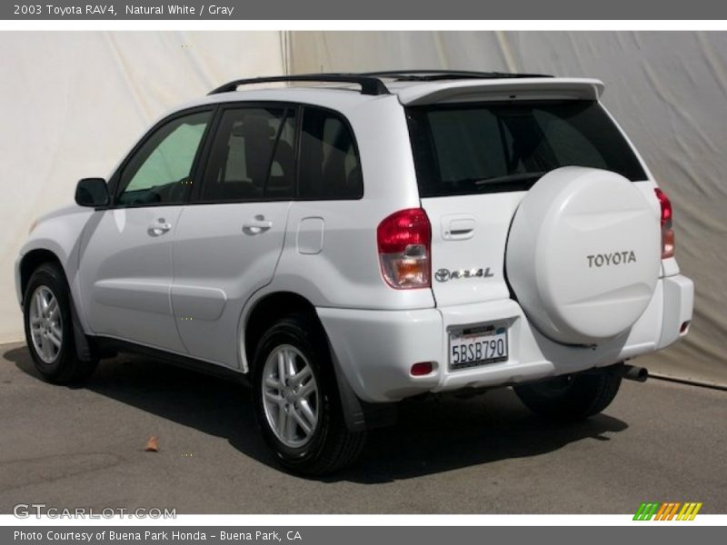 Natural White / Gray 2003 Toyota RAV4