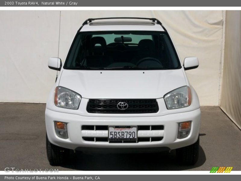 Natural White / Gray 2003 Toyota RAV4
