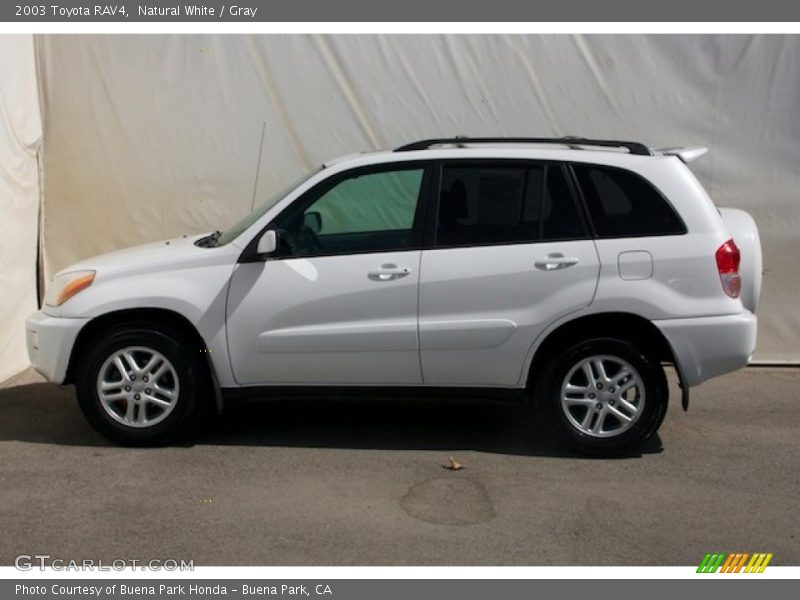 Natural White / Gray 2003 Toyota RAV4