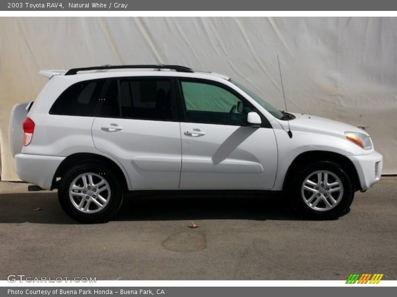 Natural White / Gray 2003 Toyota RAV4