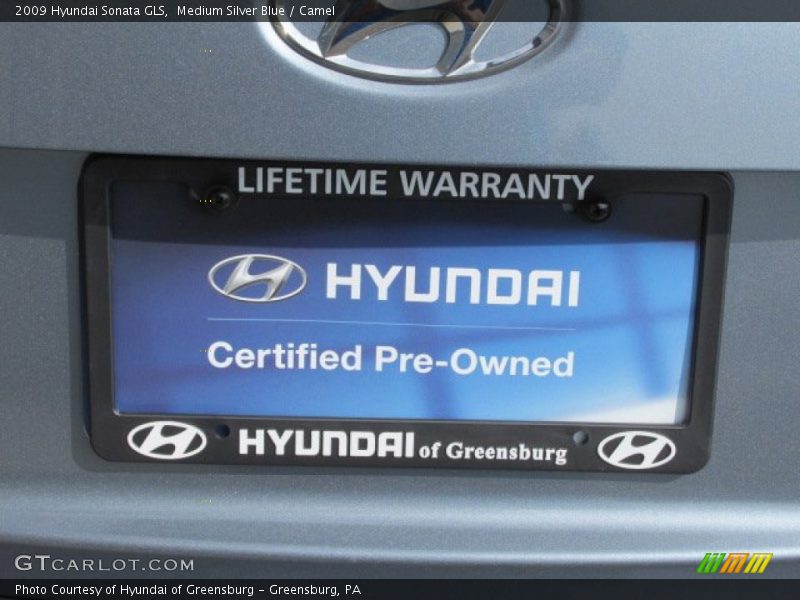 Medium Silver Blue / Camel 2009 Hyundai Sonata GLS