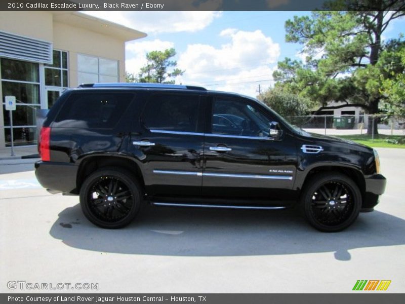 Black Raven / Ebony 2010 Cadillac Escalade Luxury