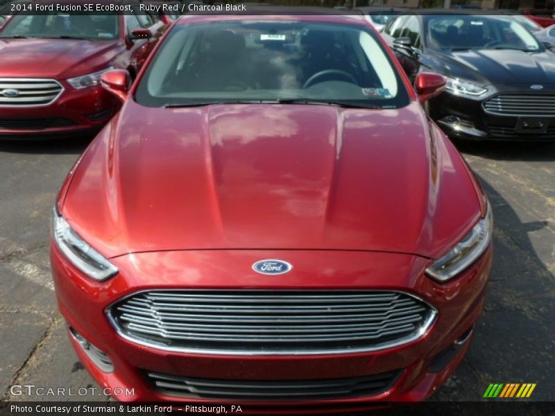 Ruby Red / Charcoal Black 2014 Ford Fusion SE EcoBoost