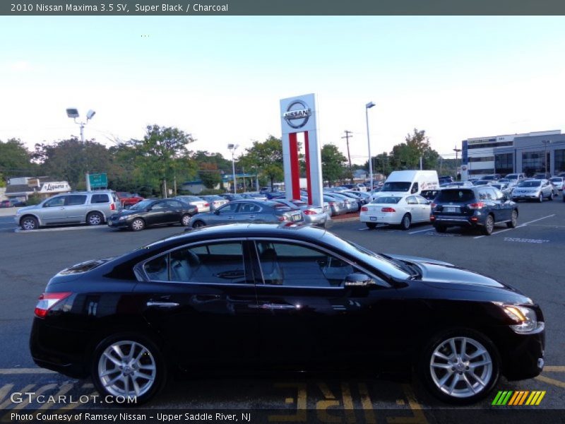 Super Black / Charcoal 2010 Nissan Maxima 3.5 SV