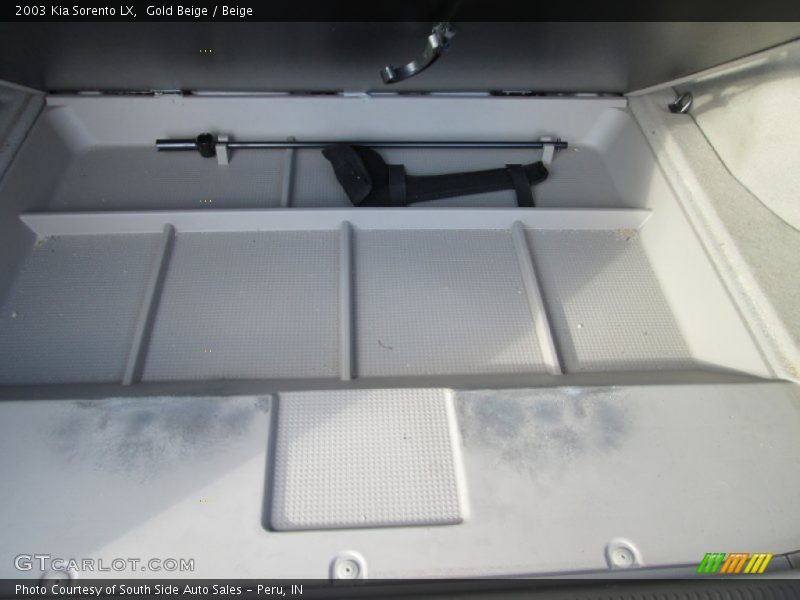 Gold Beige / Beige 2003 Kia Sorento LX