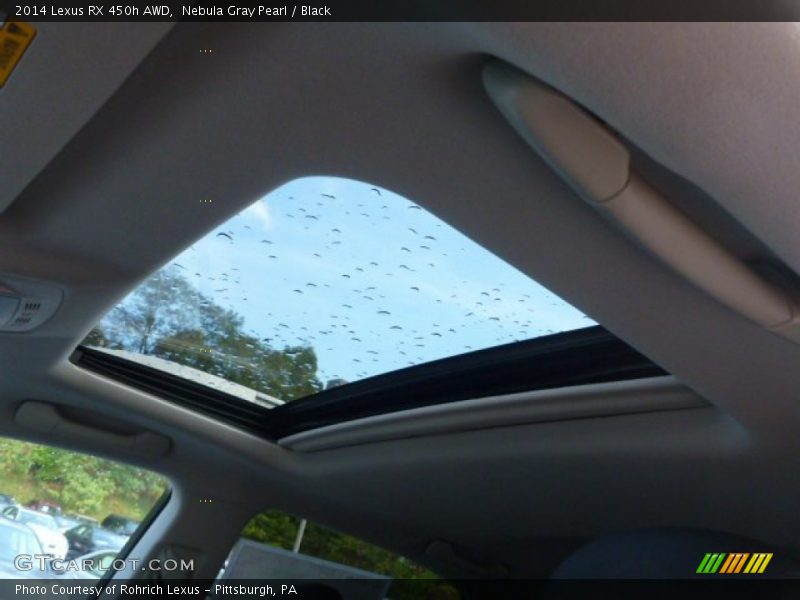 Nebula Gray Pearl / Black 2014 Lexus RX 450h AWD