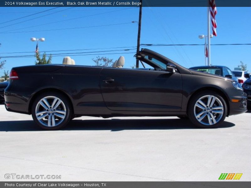 Black Oak Brown Metallic / Cornsilk Beige 2014 Volkswagen Eos Executive