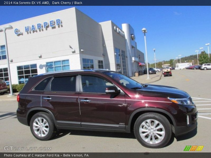 Dark Cherry / Black 2014 Kia Sorento EX V6 AWD