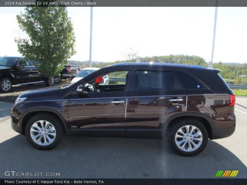 Dark Cherry / Black 2014 Kia Sorento EX V6 AWD