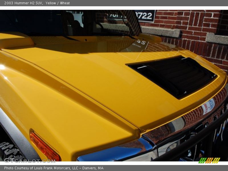Yellow / Wheat 2003 Hummer H2 SUV