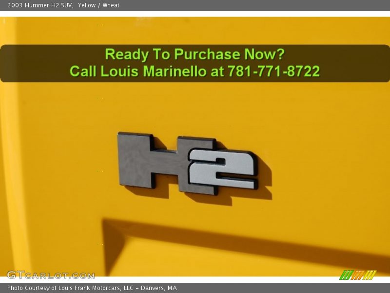 Yellow / Wheat 2003 Hummer H2 SUV