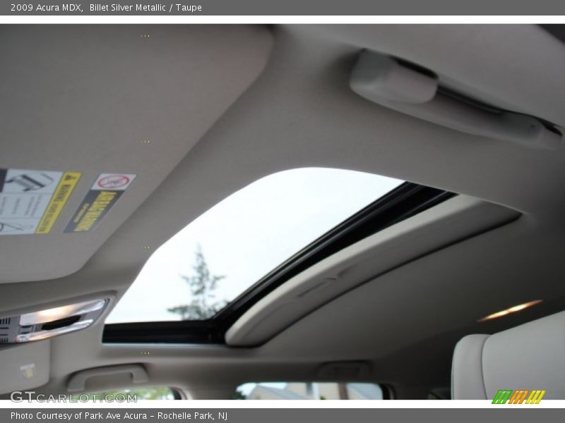 Billet Silver Metallic / Taupe 2009 Acura MDX