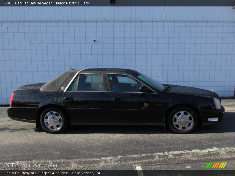 Black Raven / Black 2005 Cadillac DeVille Sedan