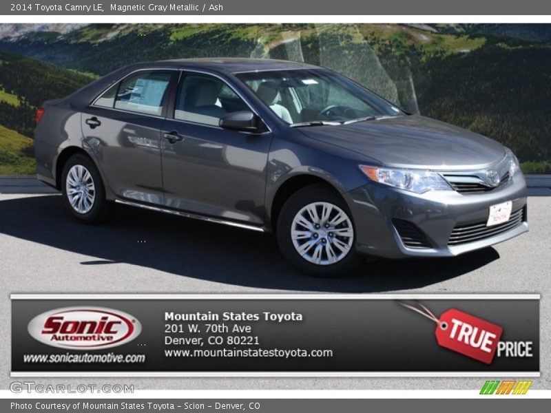 Magnetic Gray Metallic / Ash 2014 Toyota Camry LE