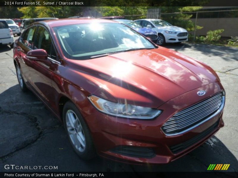 Sunset / Charcoal Black 2014 Ford Fusion SE
