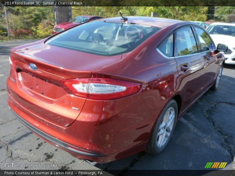 Sunset / Charcoal Black 2014 Ford Fusion SE