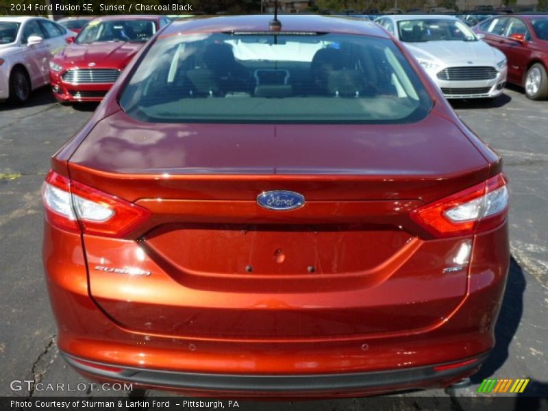 Sunset / Charcoal Black 2014 Ford Fusion SE