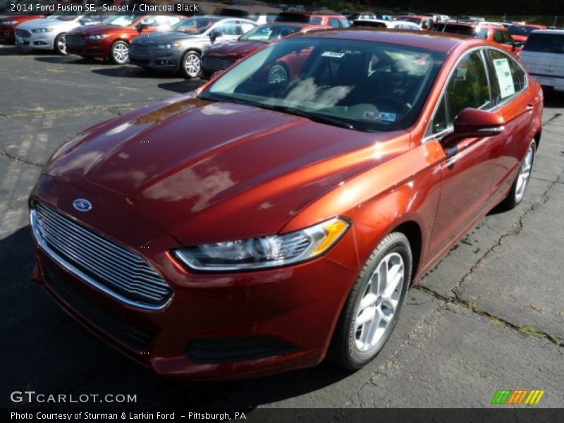 Sunset / Charcoal Black 2014 Ford Fusion SE