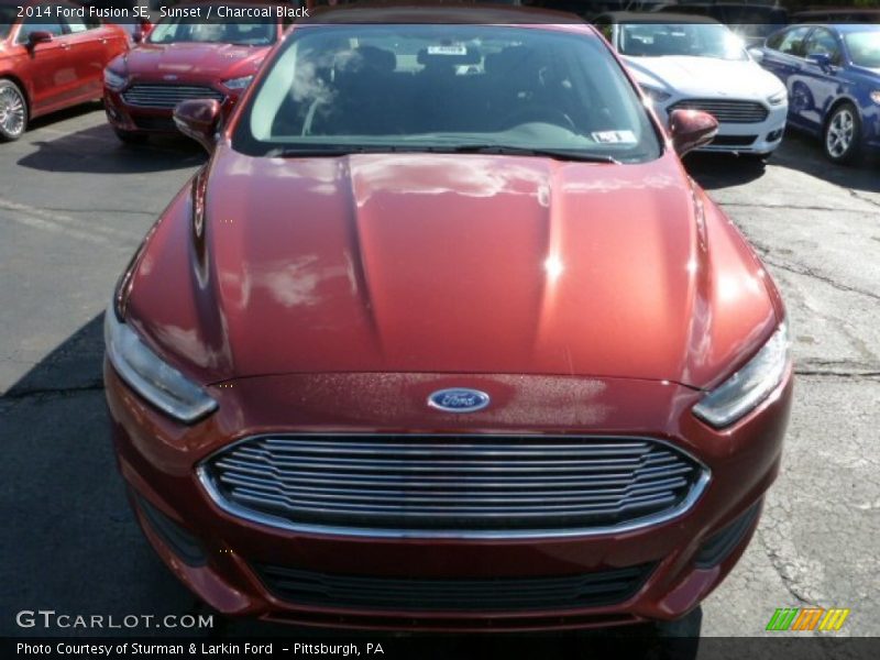 Sunset / Charcoal Black 2014 Ford Fusion SE