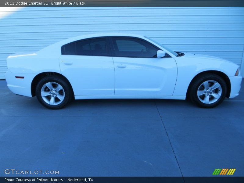 Bright White / Black 2011 Dodge Charger SE