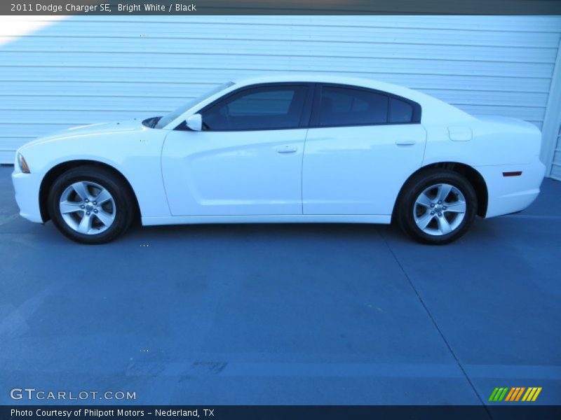 Bright White / Black 2011 Dodge Charger SE