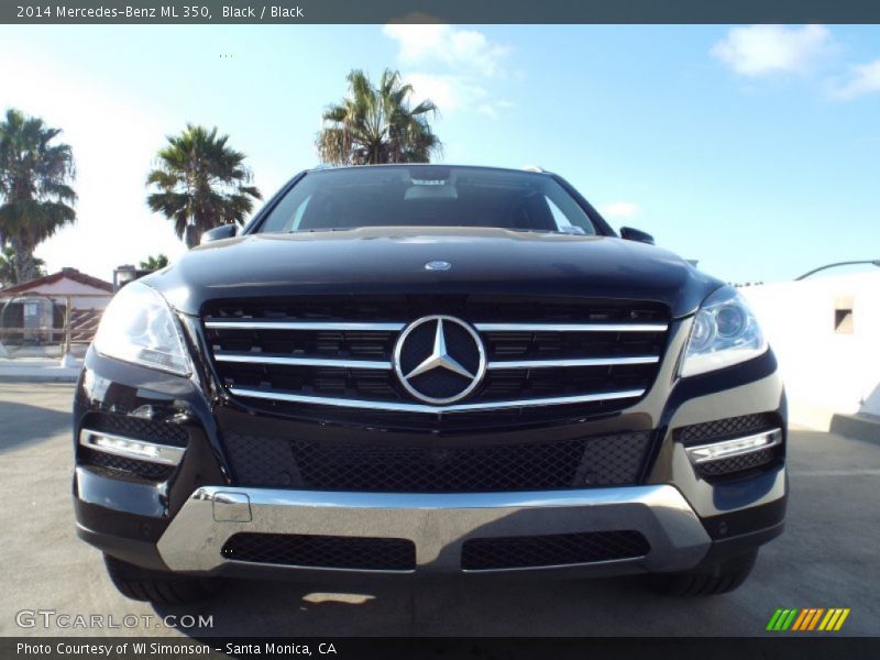 Black / Black 2014 Mercedes-Benz ML 350