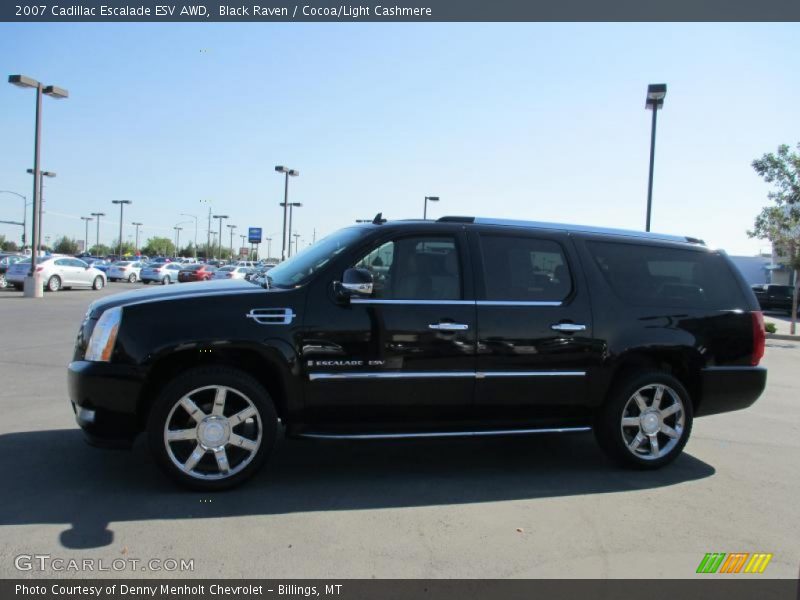 Black Raven / Cocoa/Light Cashmere 2007 Cadillac Escalade ESV AWD