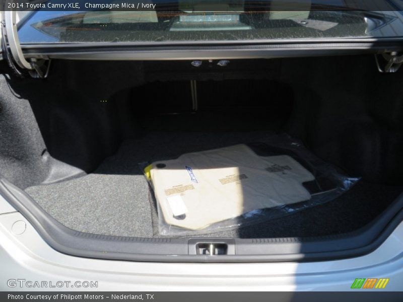 Champagne Mica / Ivory 2014 Toyota Camry XLE