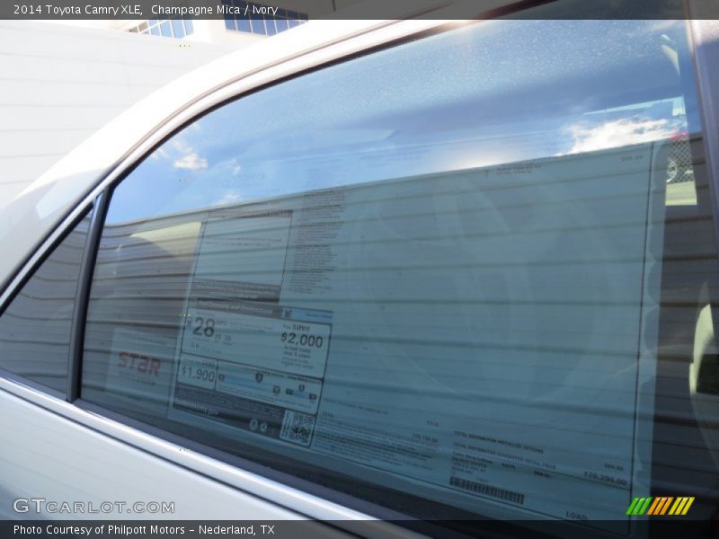 Champagne Mica / Ivory 2014 Toyota Camry XLE