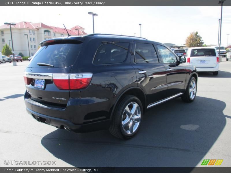 Blackberry Pearl / Black 2011 Dodge Durango Citadel 4x4