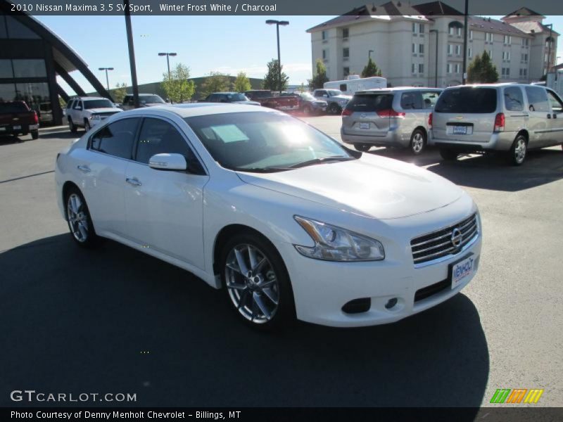 Winter Frost White / Charcoal 2010 Nissan Maxima 3.5 SV Sport