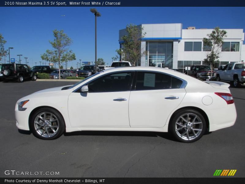 Winter Frost White / Charcoal 2010 Nissan Maxima 3.5 SV Sport