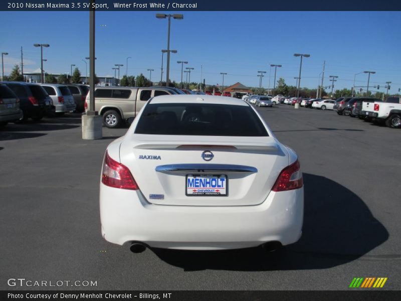 Winter Frost White / Charcoal 2010 Nissan Maxima 3.5 SV Sport