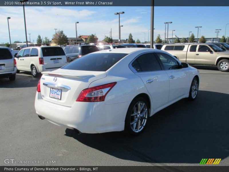 Winter Frost White / Charcoal 2010 Nissan Maxima 3.5 SV Sport