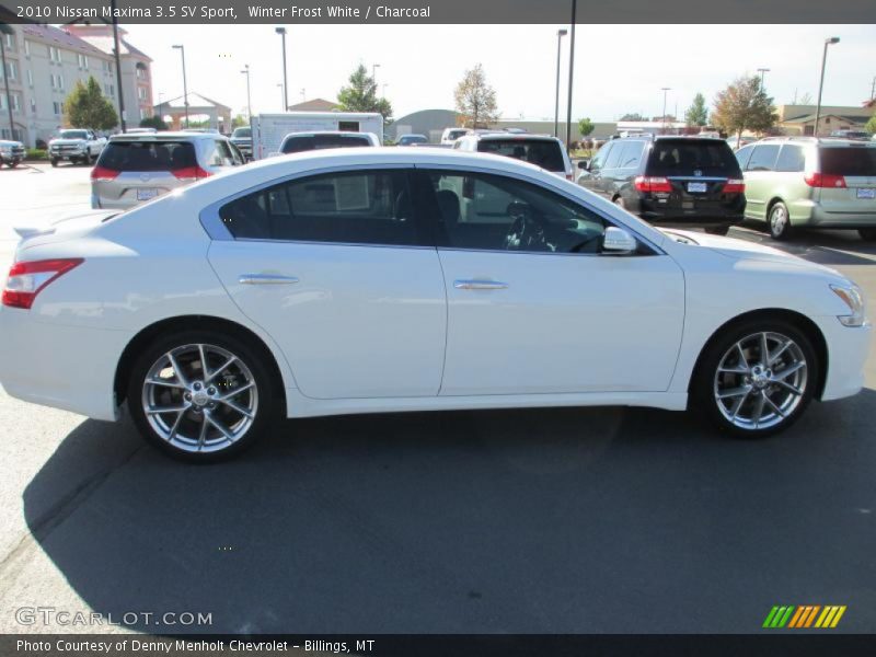 Winter Frost White / Charcoal 2010 Nissan Maxima 3.5 SV Sport