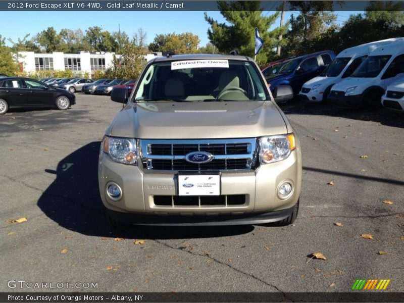 Gold Leaf Metallic / Camel 2012 Ford Escape XLT V6 4WD