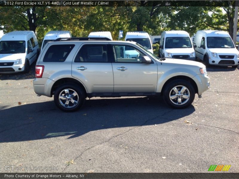 Gold Leaf Metallic / Camel 2012 Ford Escape XLT V6 4WD