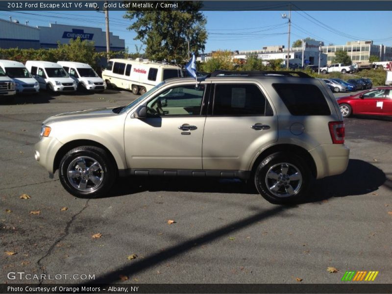 Gold Leaf Metallic / Camel 2012 Ford Escape XLT V6 4WD