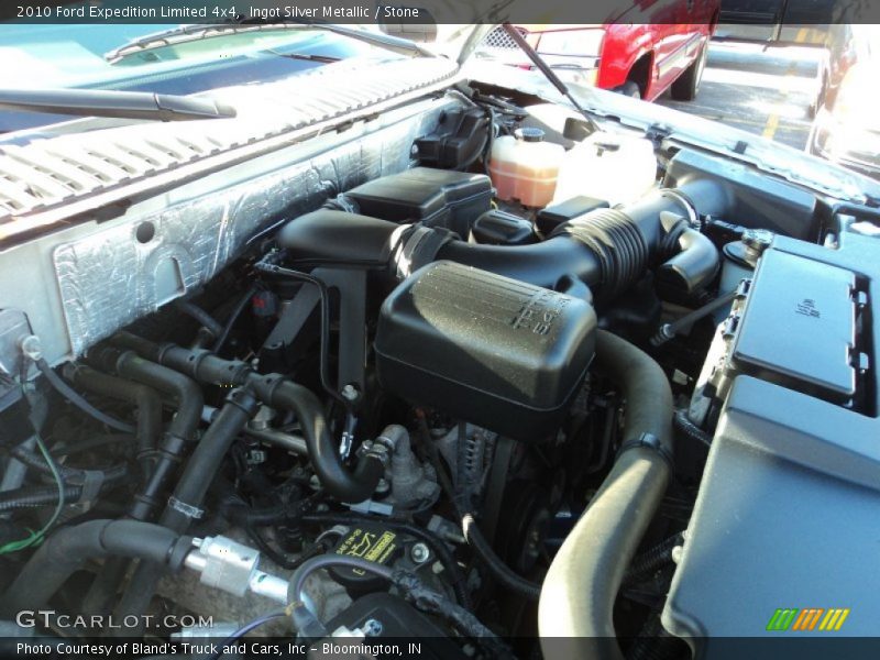 Ingot Silver Metallic / Stone 2010 Ford Expedition Limited 4x4