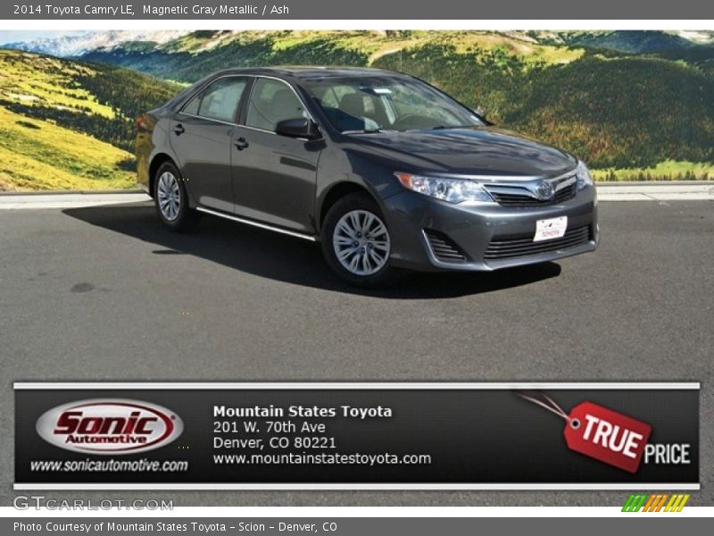 Magnetic Gray Metallic / Ash 2014 Toyota Camry LE