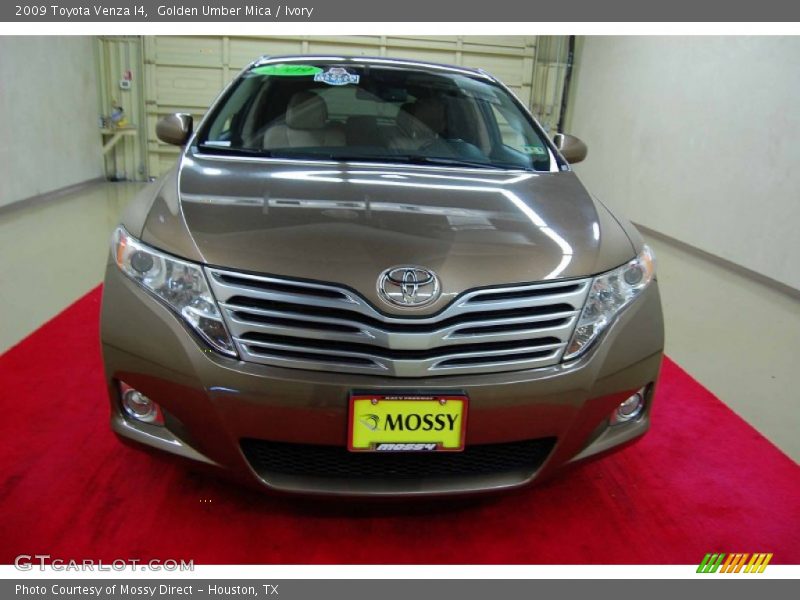 Golden Umber Mica / Ivory 2009 Toyota Venza I4