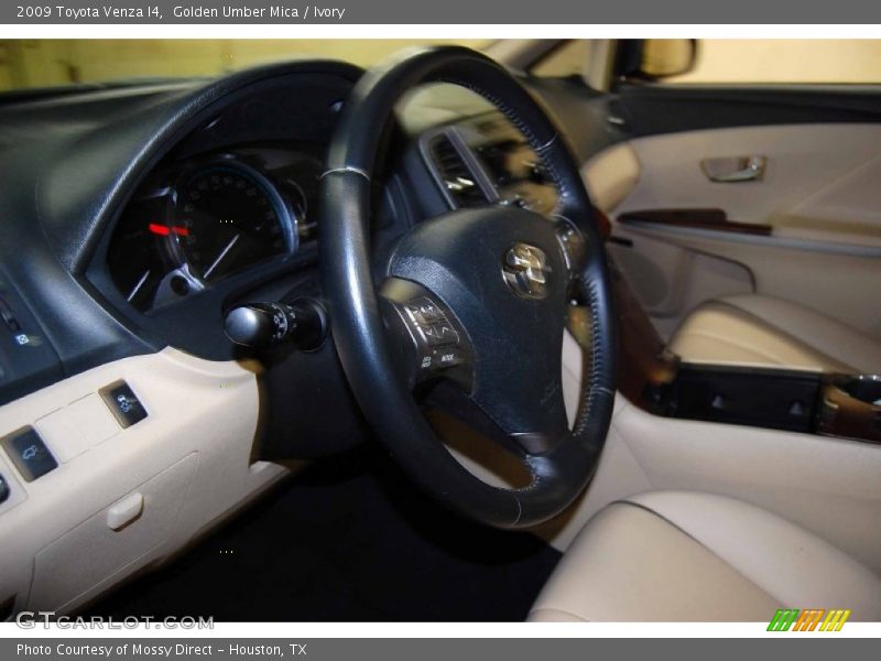 Golden Umber Mica / Ivory 2009 Toyota Venza I4