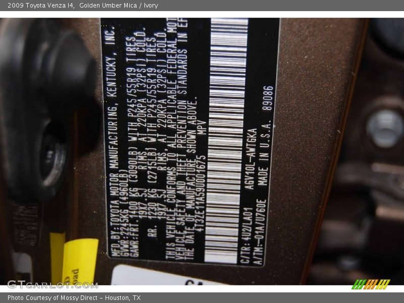 Golden Umber Mica / Ivory 2009 Toyota Venza I4
