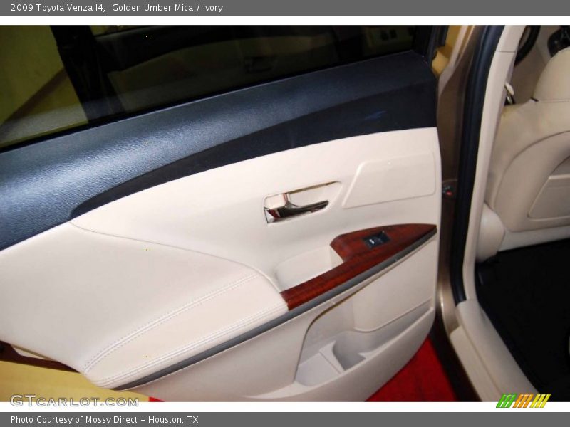Golden Umber Mica / Ivory 2009 Toyota Venza I4