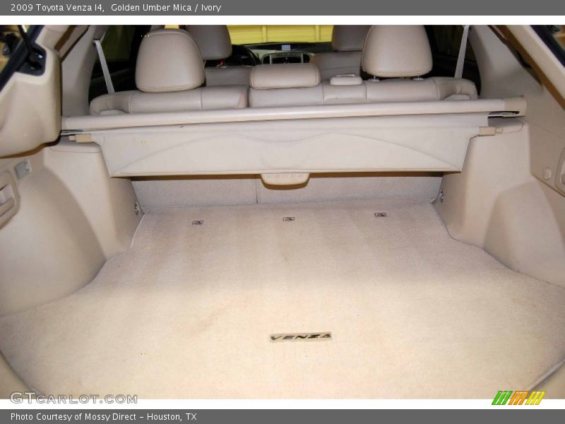 Golden Umber Mica / Ivory 2009 Toyota Venza I4