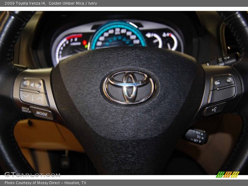 Golden Umber Mica / Ivory 2009 Toyota Venza I4