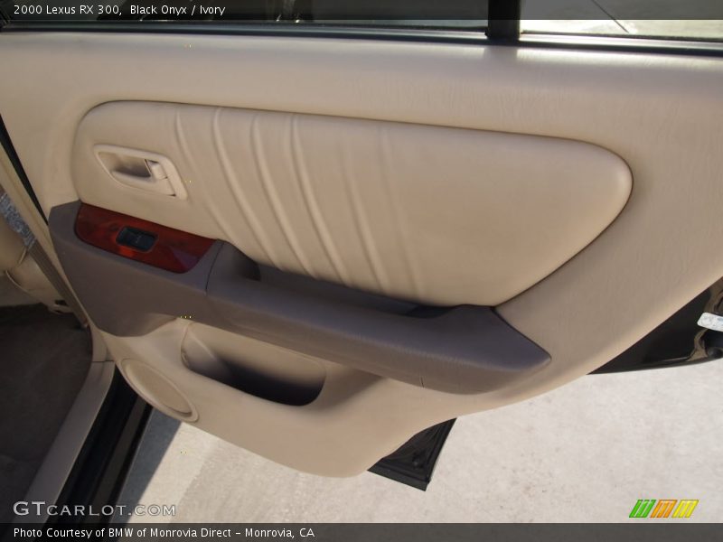 Black Onyx / Ivory 2000 Lexus RX 300