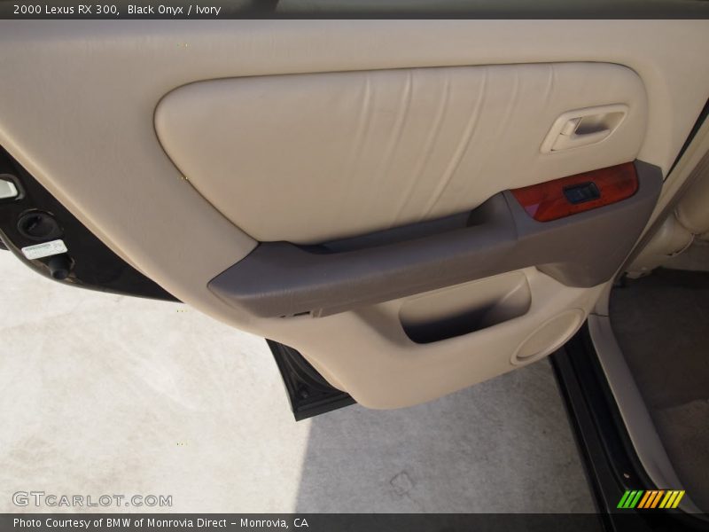 Black Onyx / Ivory 2000 Lexus RX 300