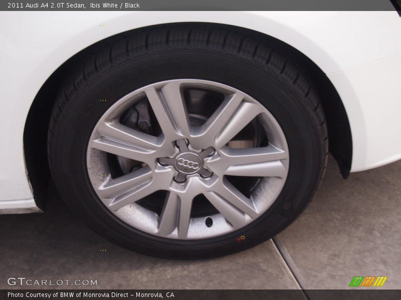 Ibis White / Black 2011 Audi A4 2.0T Sedan