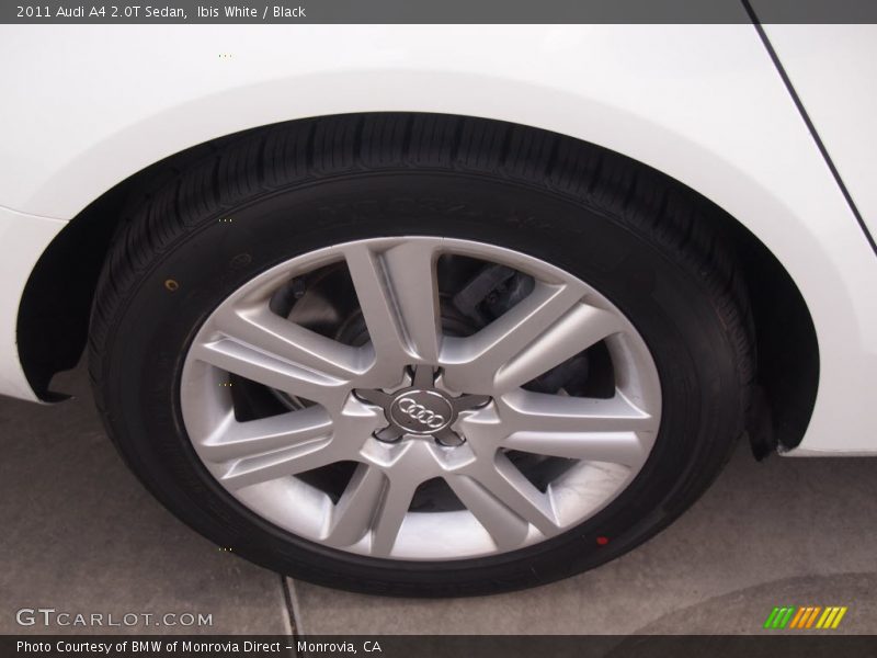 Ibis White / Black 2011 Audi A4 2.0T Sedan